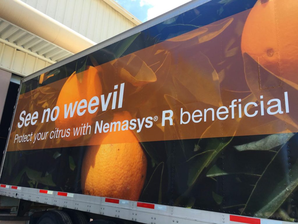 vehicle wraps miami